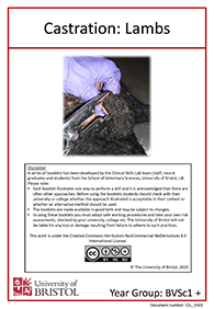 Clinical skills instruction booklet cover page, lambing castration